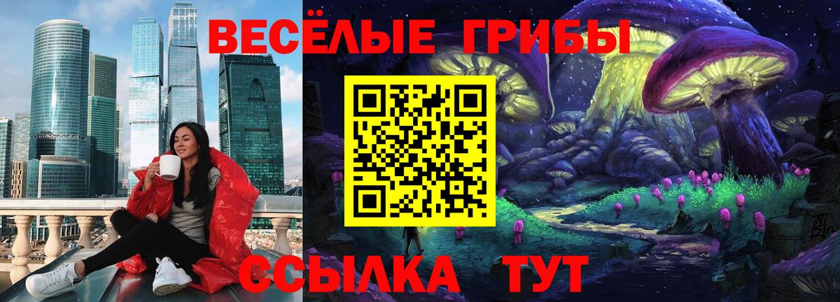 Псилоцибиновые грибы мицелий  Псилоцибиновые грибы мицелий  Камышин  купить наркотики цена  Вход с VPN 