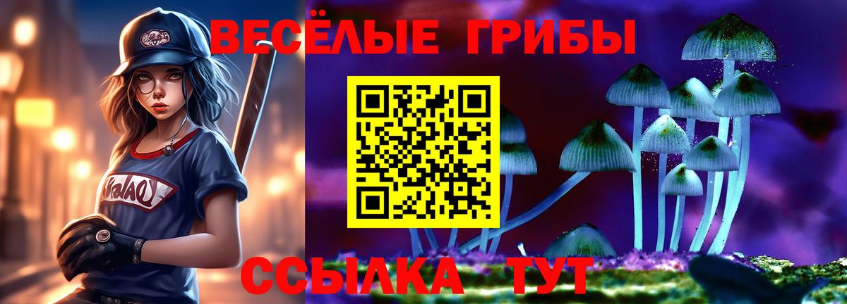 Псилоцибиновые грибы ЛСД Камышин